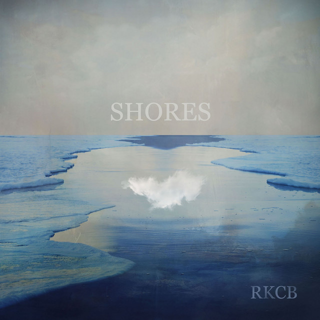 Flowers for Vases cover art