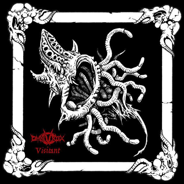 Visitant cover art