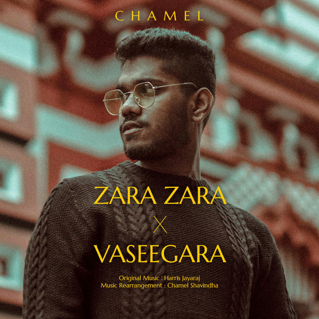 Zara Zara x Vaseegara Mashup