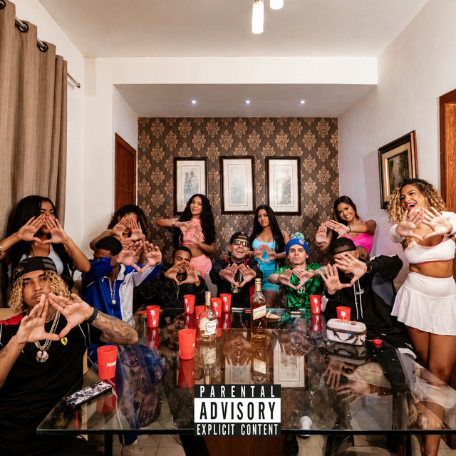 Festival XXT album image