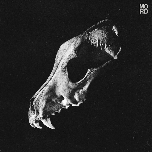 Hide The Sun album art