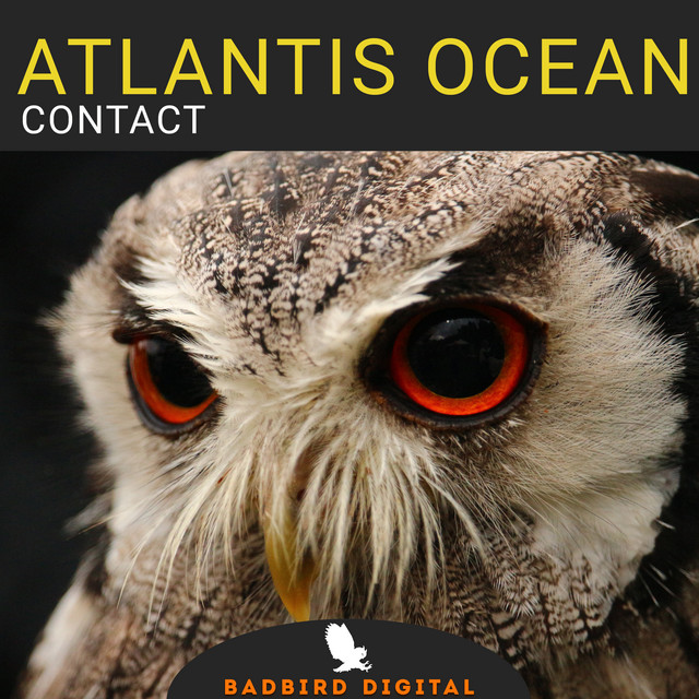 Contact cover art
