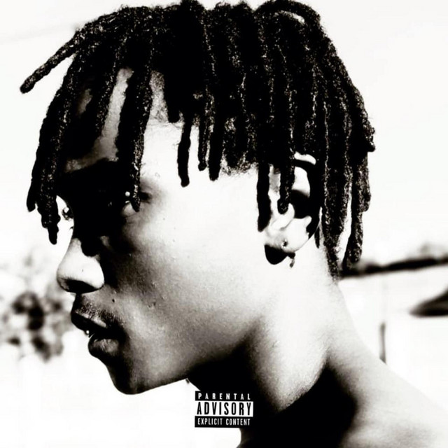Maaly's REVENGE cover art