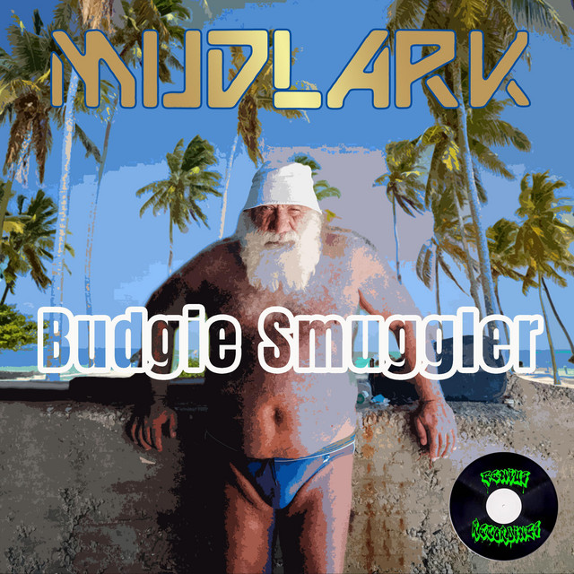 BUDGIE SMUGGLER artwork