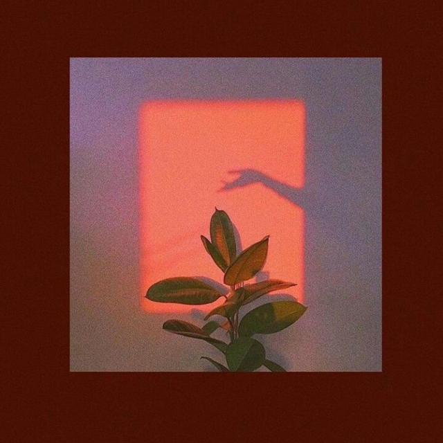 leila cover art
