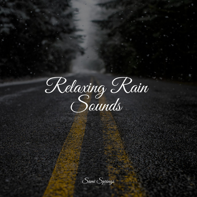 50 Deep Sleep Rain Tracks - Album by Weather Sounds | Spotify