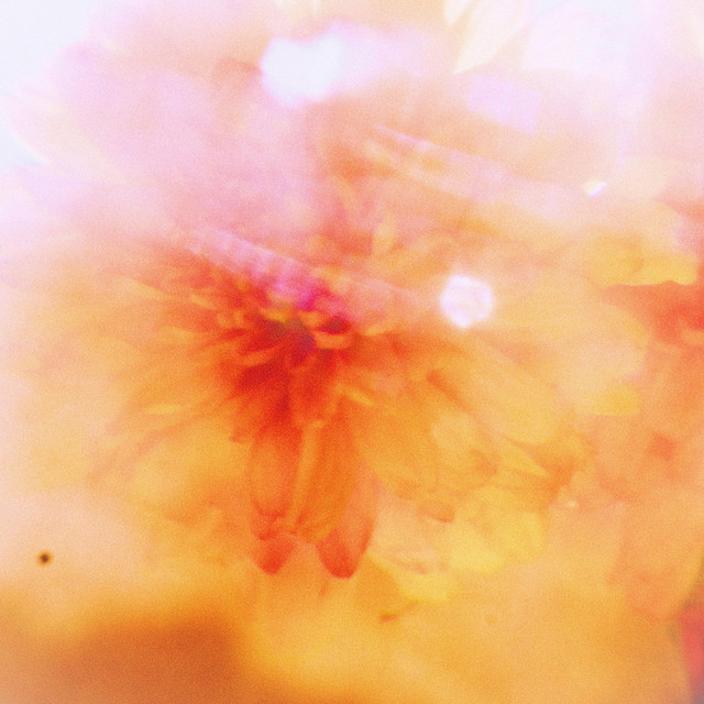 Flutter cover art