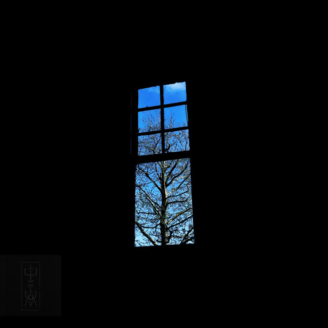 Digital Environment cover art