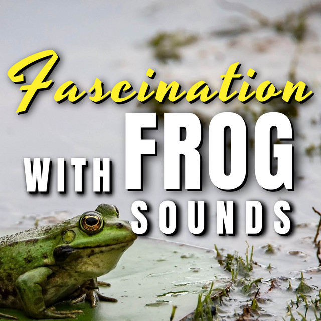 Fascination with Frog Sounds - Album by Frog Sounds | Spotify