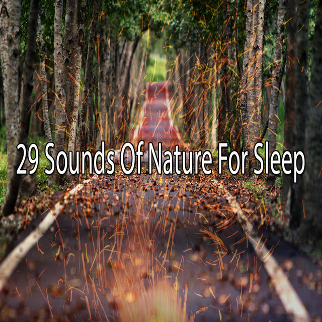 29 Sounds Of Nature For Sleep - Album by Nature Sounds Nature Music ...