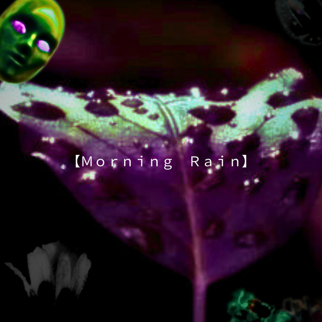 【ＭｏｒnｉｎｇＲａｉn】