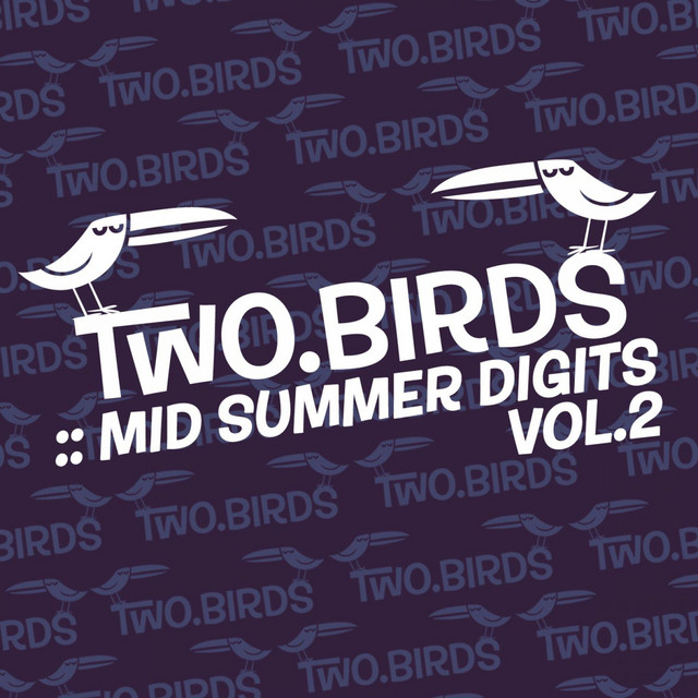 mid summer digits vol. 2 cover