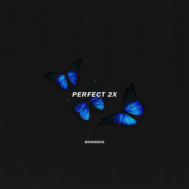 Perfect 2x