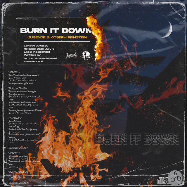 Cover of Burn It Down by Joseph Feinstein