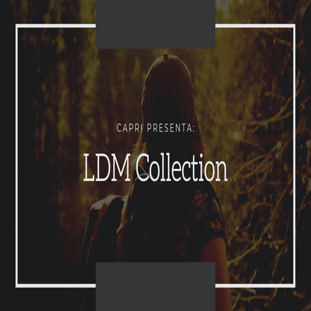 LDM Collection cover art