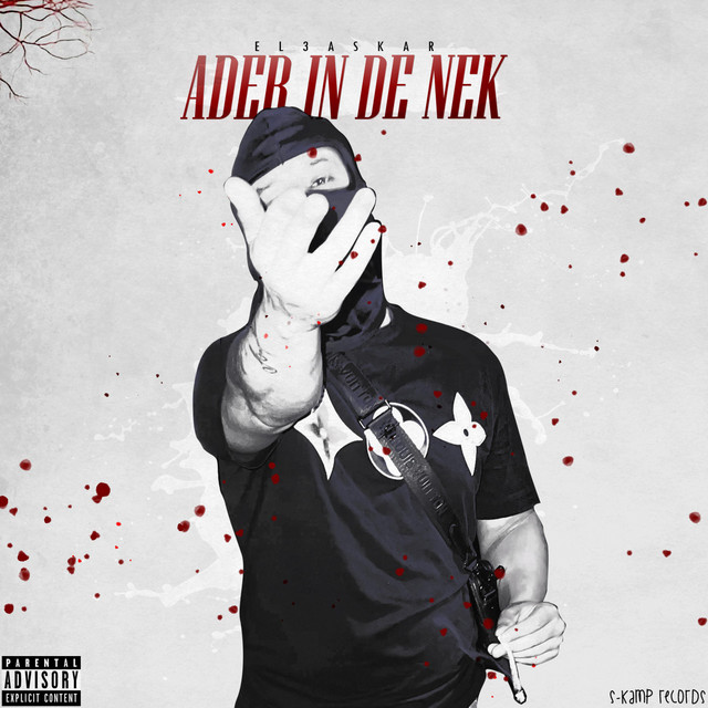 ADER IN DE NEK cover art