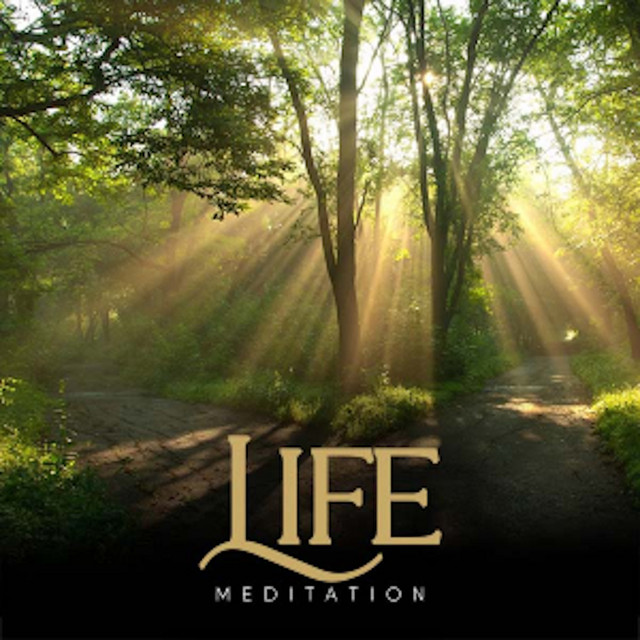Life Meditation (Long Versions) [Meditation Long Versions]