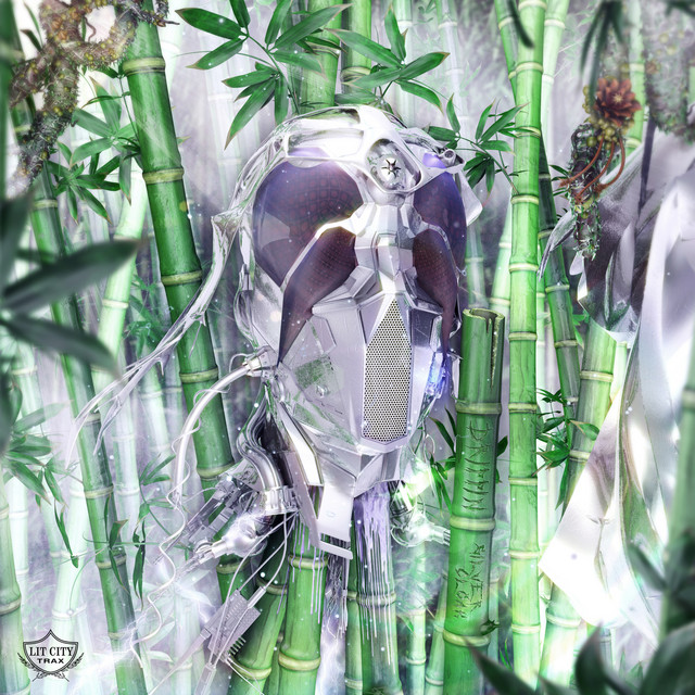 Silver Cloak cover art