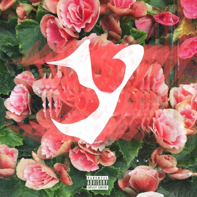 Y cover art