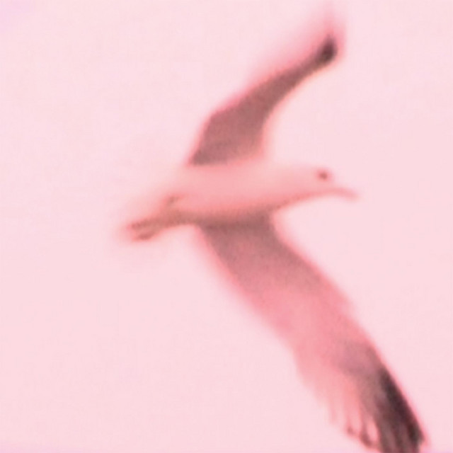 Maria cover art