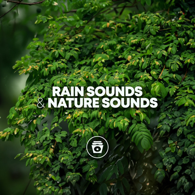 Rain Sounds & Nature Sounds cover art