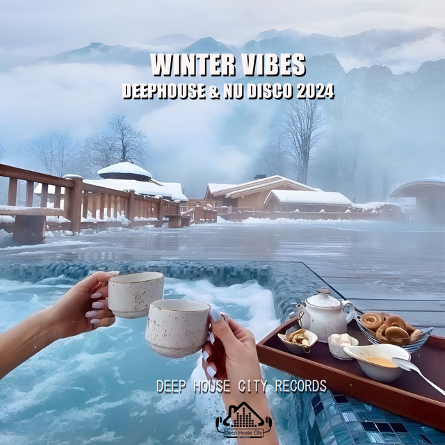 Winter Vibes DeepHouse & Nu Disco 2024 cover art