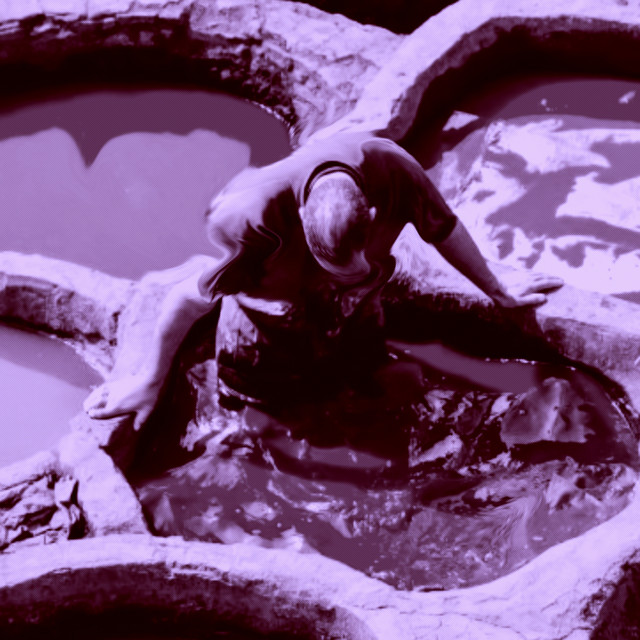 Dar Ağacı cover art