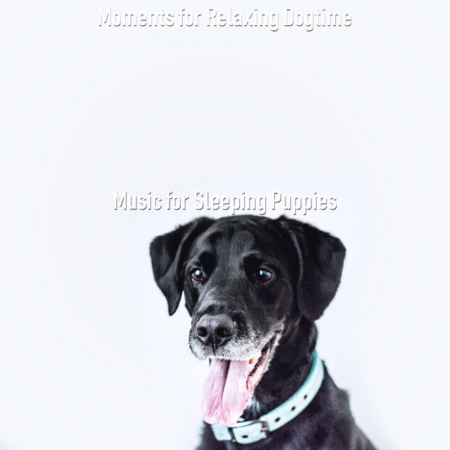 Moments for Relaxing Dogtime cover art