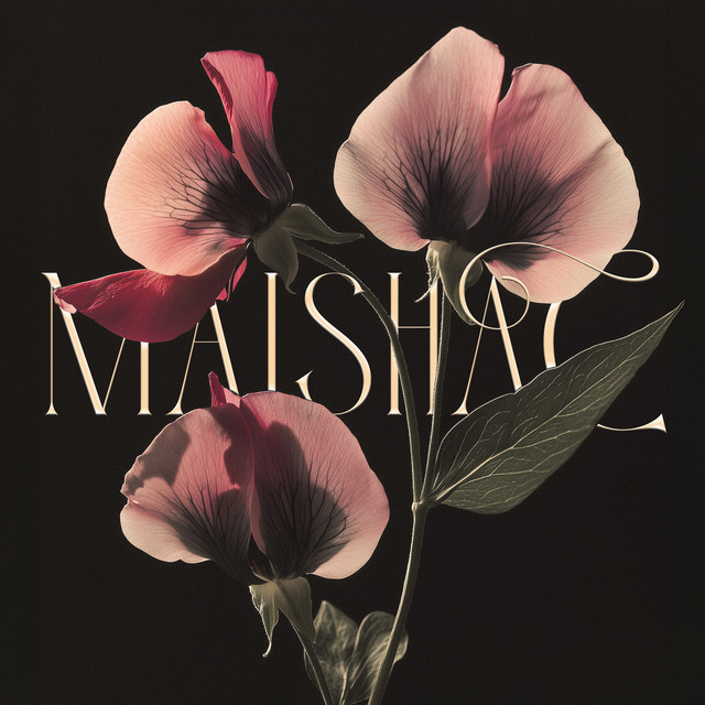 Flowers album image