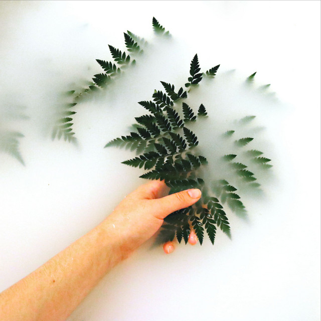 Tracks of Nature for Sleep cover art