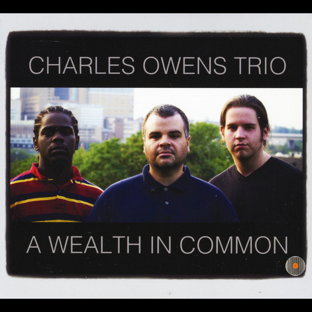A Wealth in Common cover art