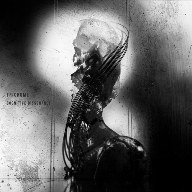 Cognitive Dissonance cover art