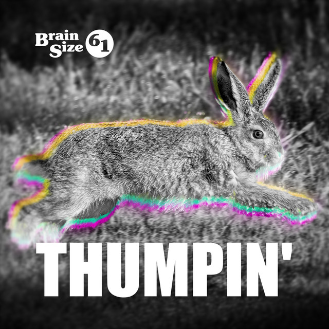 Thumpin' cover