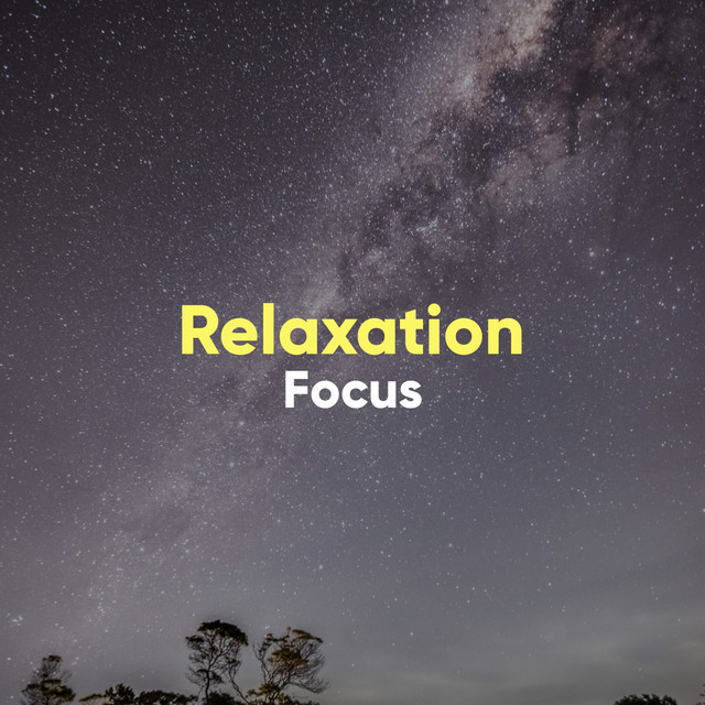 # 1 Album: Relaxation Focus - Compilation by Various Artists | Spotify