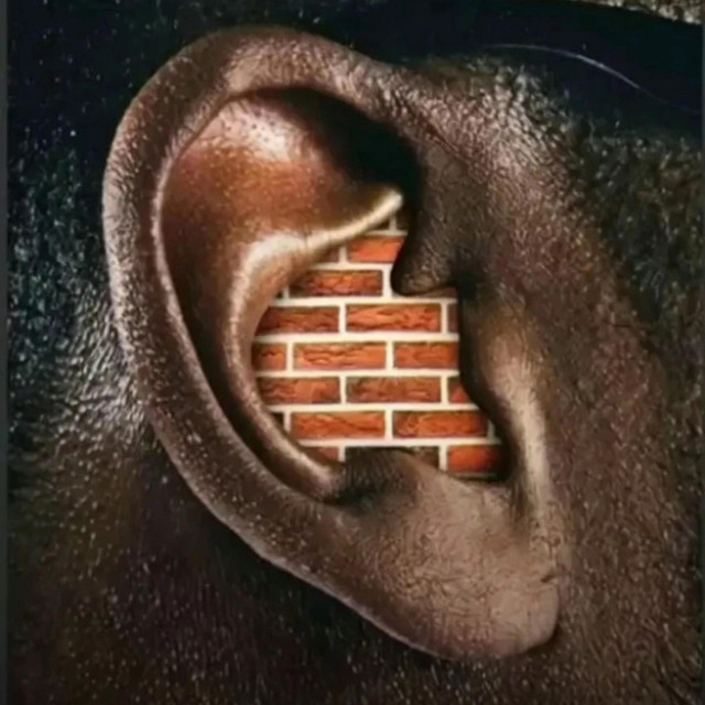 Drop the Lust cover art