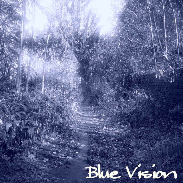 BLUE VISION cover