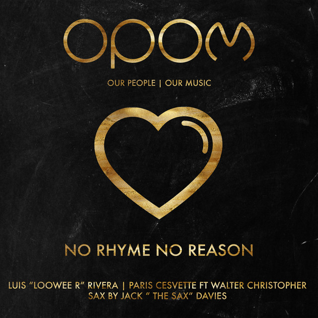 No Rhyme No Reason - Vocal cover art