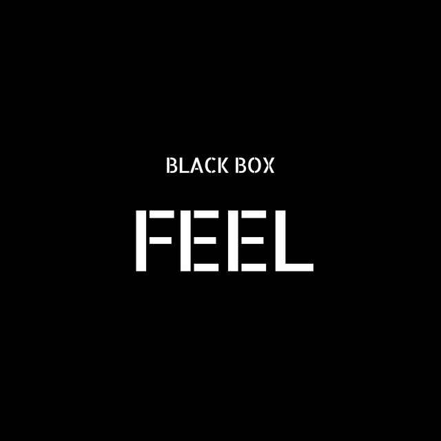 Обкладинка: Feel — Black Box