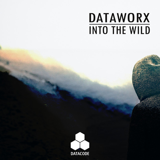 Into The Wild album art