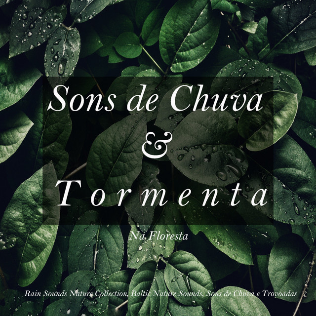 Sons de Chuva e Tormenta na Floresta cover art