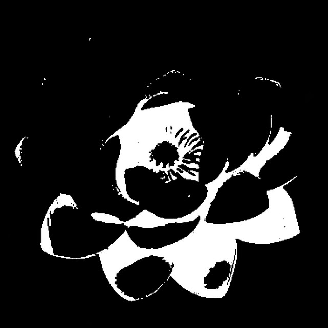 LOTUS cover art