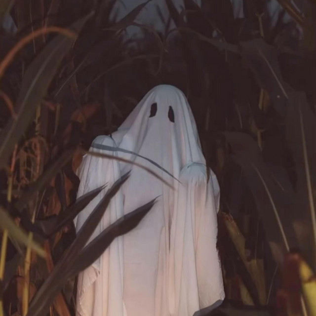halloween costume