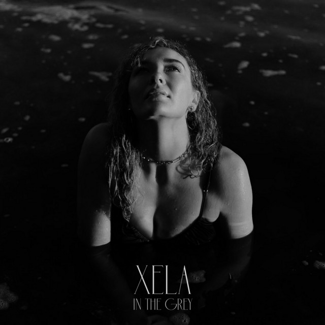 In The Grey cover art