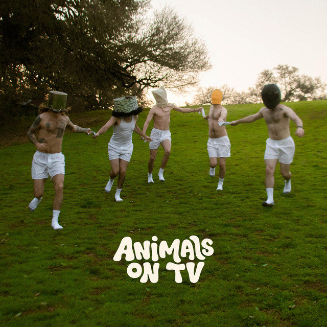 How to Dance with the Lights out and Not Hurt Yourself: A Guidebook by Animals on TV cover