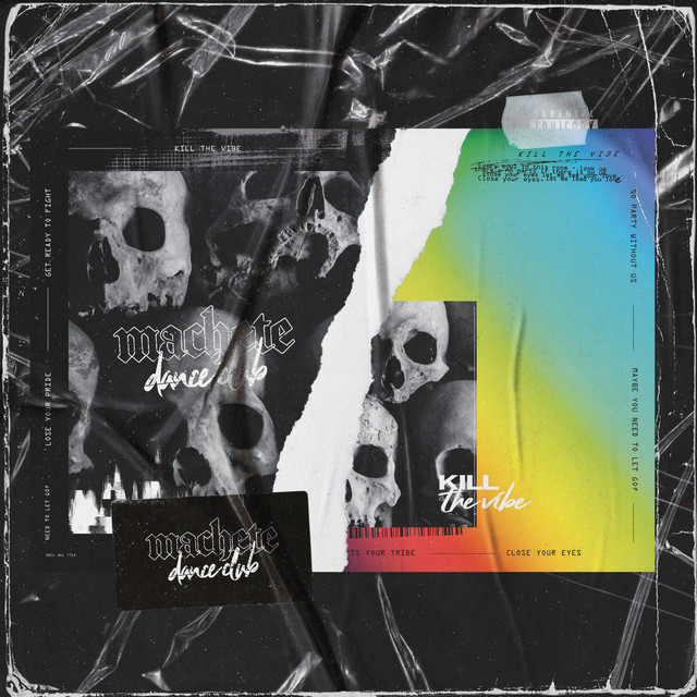 Kill the Vibe cover art