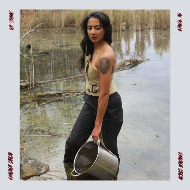 Parrot Stew - EP de JVNGL JR | Spotify