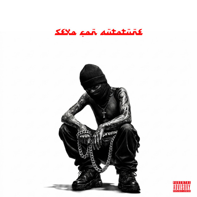 sexo con autotune cover art