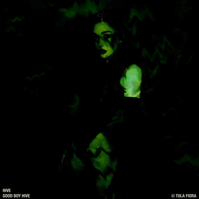 HIVE cover art
