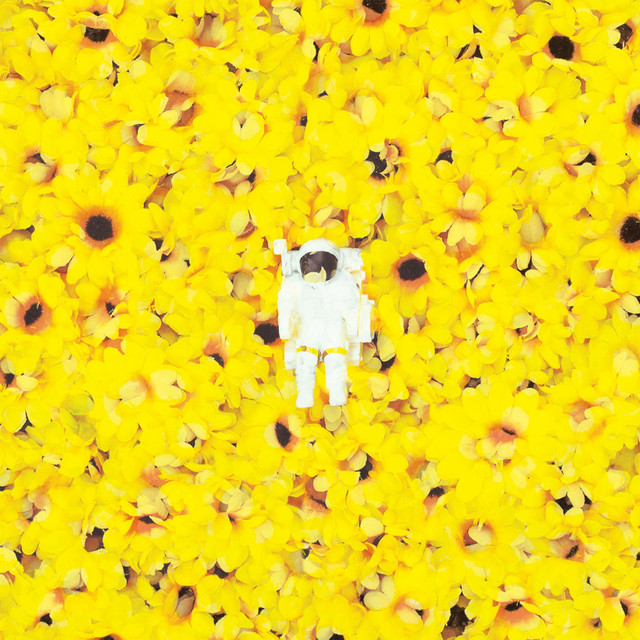 Sunflower cover