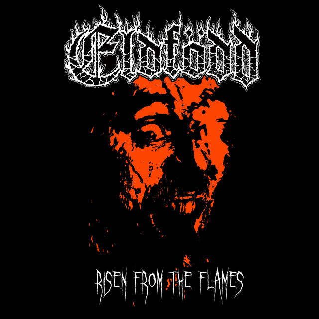 Risen from The Flames cover